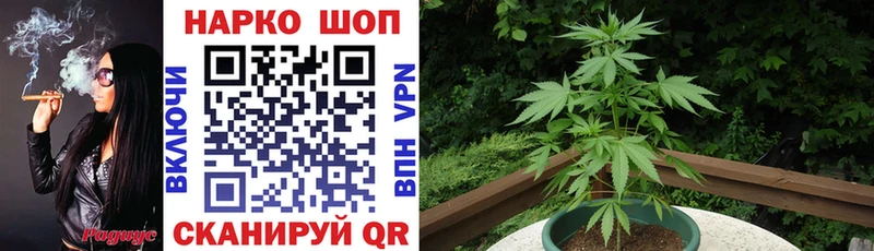 Купить наркотик Велиж Каннабис Меф ГАШИШ
