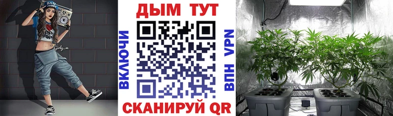 МАРИХУАНА ГИДРОПОН  Велиж 